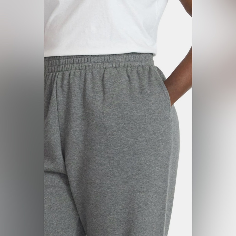 Terra & Sky Gray Track Pants